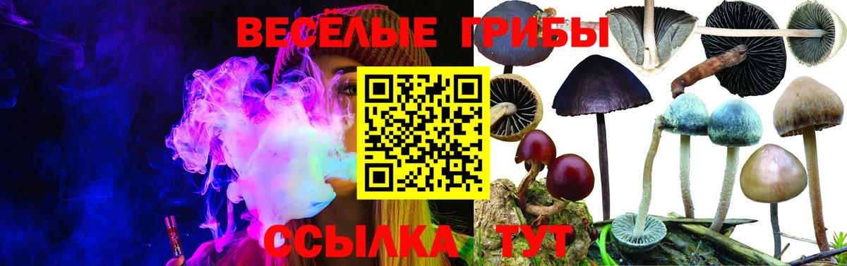 Галлюциногенные грибы ЛСД Тамбов